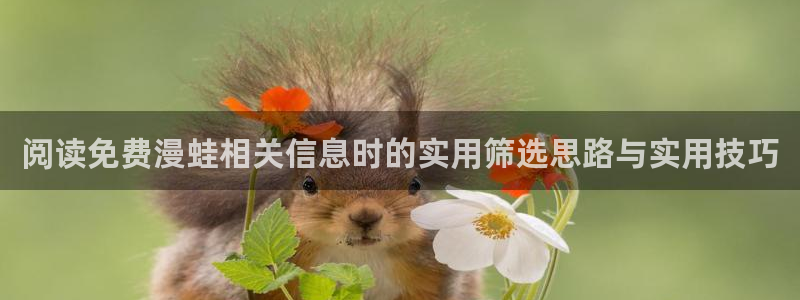 羞羞漫画在线阅读导航:阅读免费漫蛙相关信息时的实用筛选思路与实用技巧